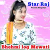 Bhehmi log Mewati